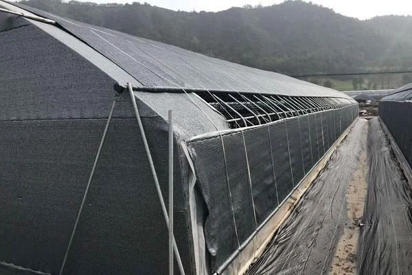 mushroom greenhouse ventilation