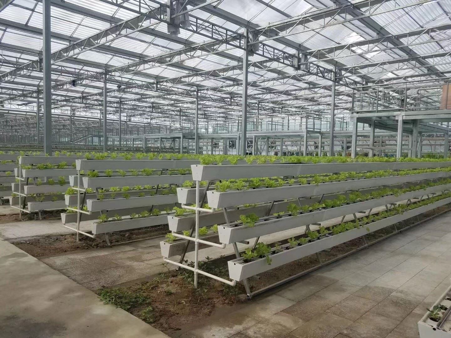 planting trough