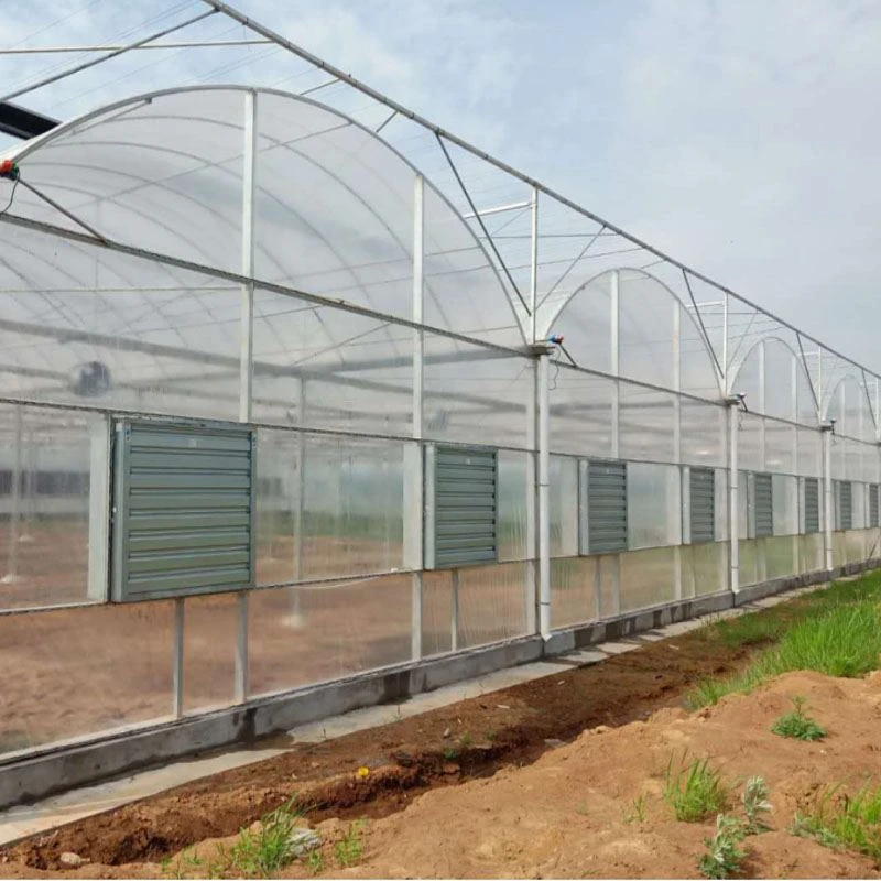 film greenhouse