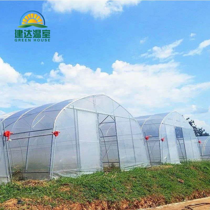 vegetable film greenhouse vegetable film greenhouse