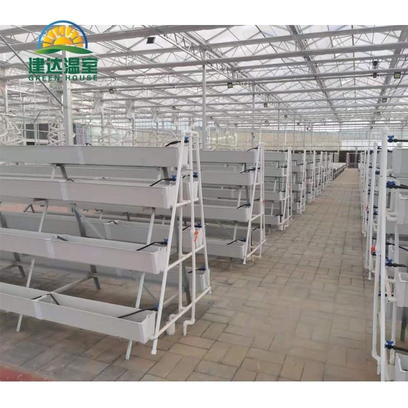 hydroponic planting.jpg