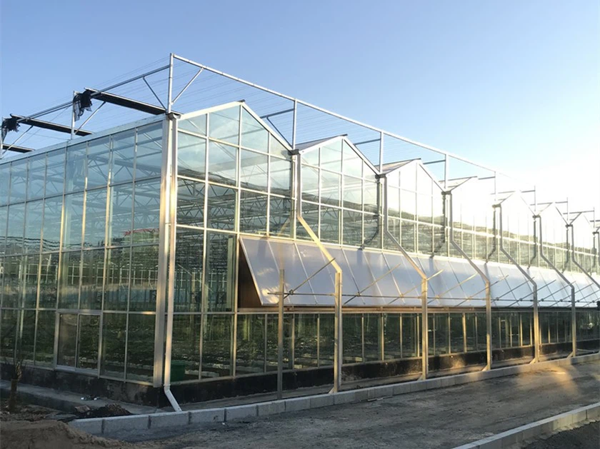 GreenHouses Indoor Farming