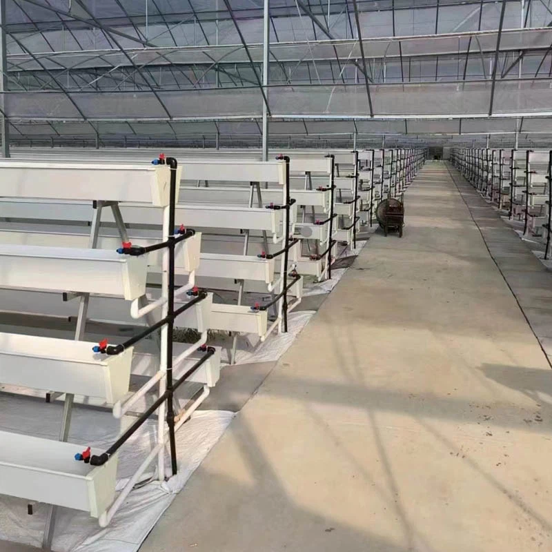 vertical farming vertical farming