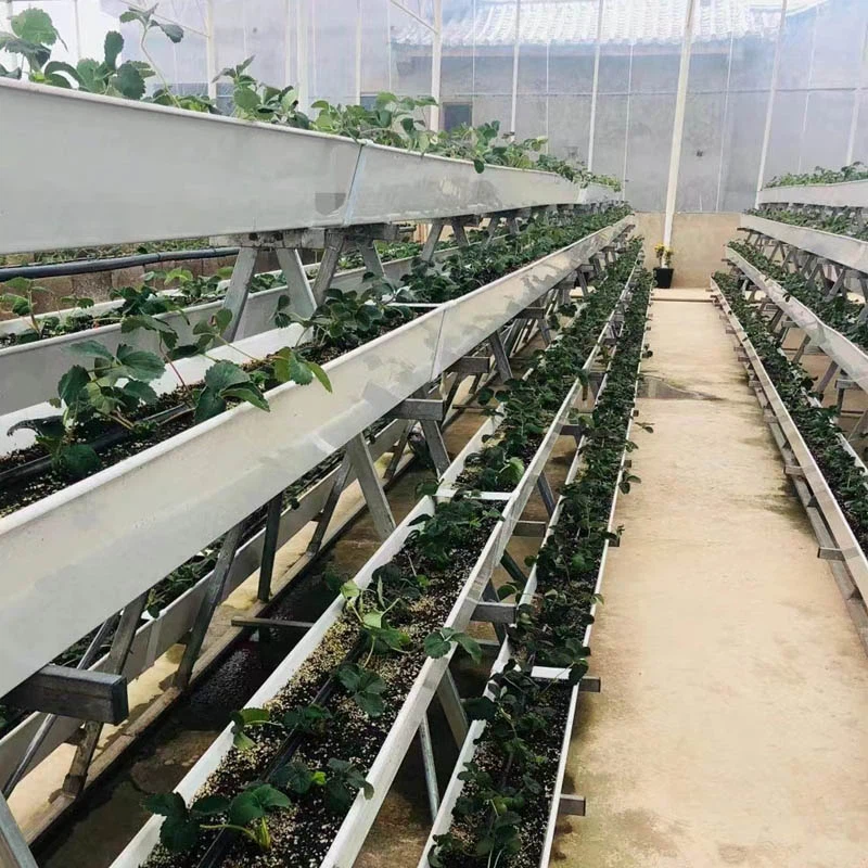planting gutter planting gutter