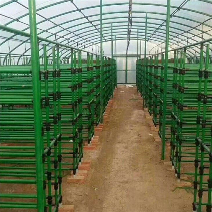 Agriculture Multi Span Mushroom Greenhouse