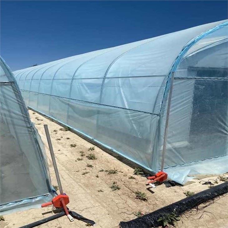 Film Greenhouse For USA Market For Planting Herms