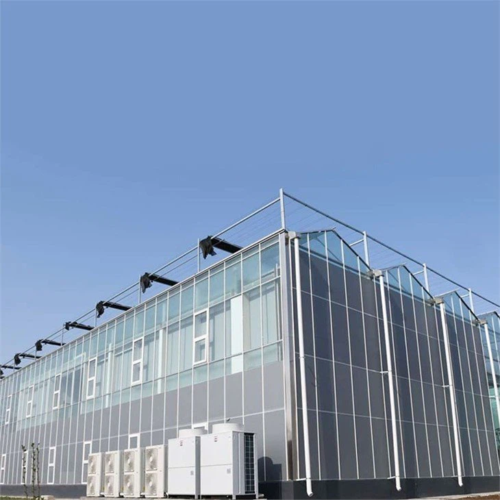 glass-for-greenhouse-China