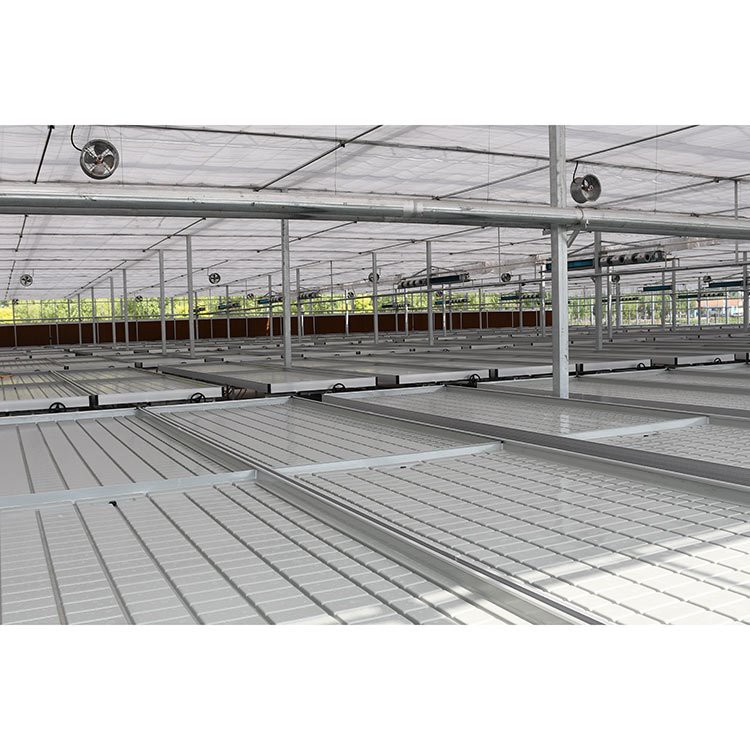 Greenhouse Seeding Bed