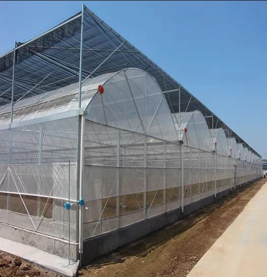 Green House Ventilation