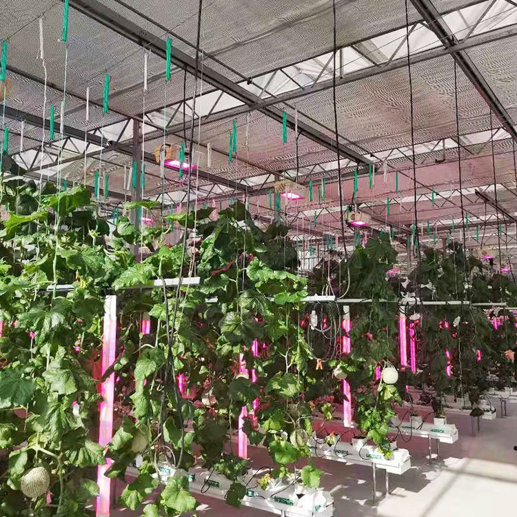 Hydroponics Growing Racks