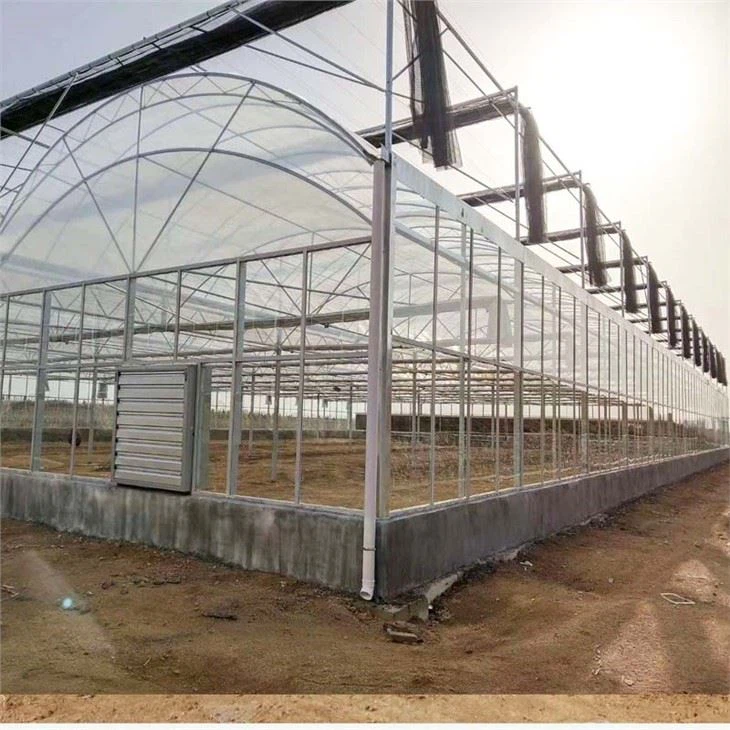 Multispan Film Greenhouse With Vertical Farming Hydroponic