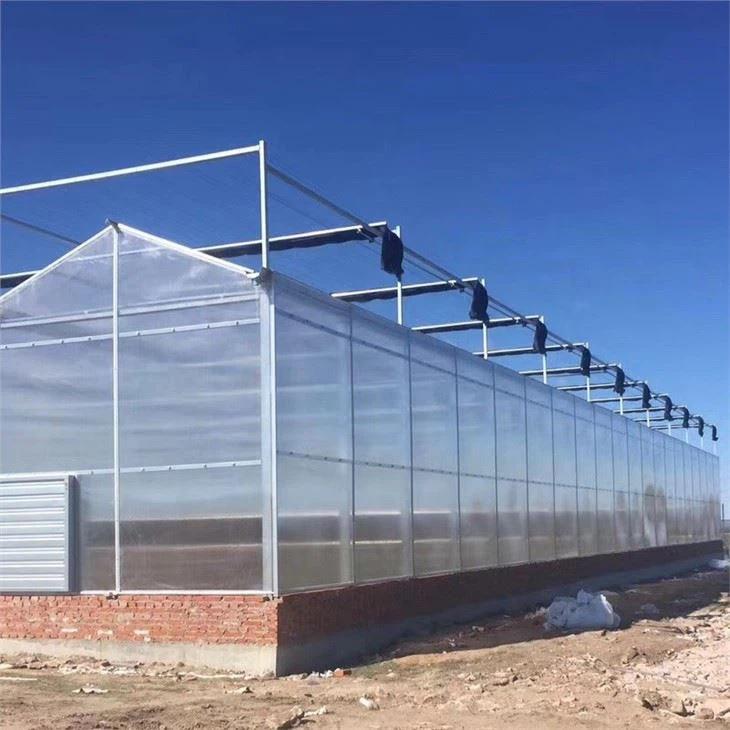 PC Greenhouse For Agriculture
