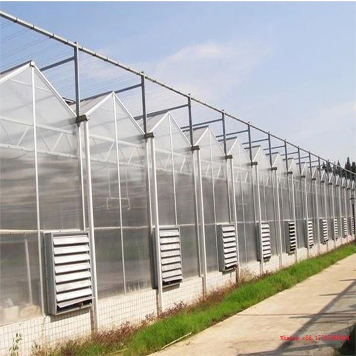 PC Greenhouse For Agriculture