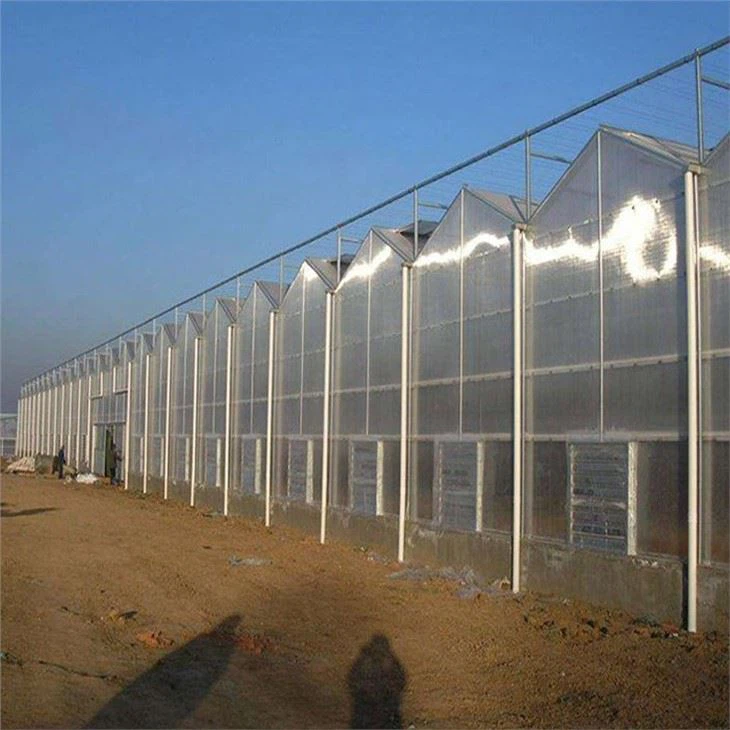 PC Greenhouse For Agriculture