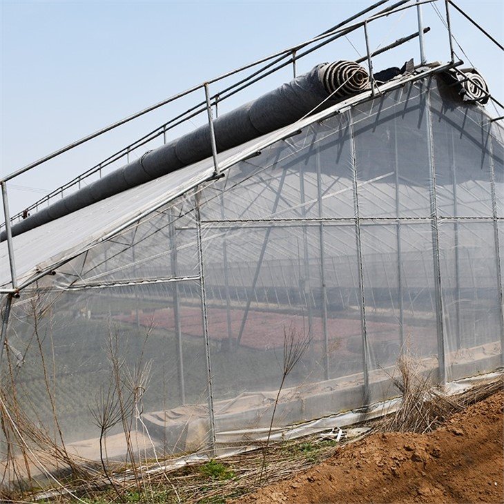 Single Span Greenhouse