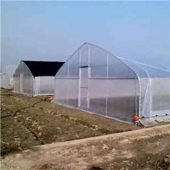10mx36m Oval Tunnel Greenhouse