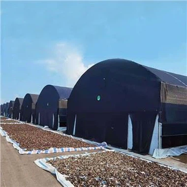 Blackout Greenhouse For Mushroom And Cannabis