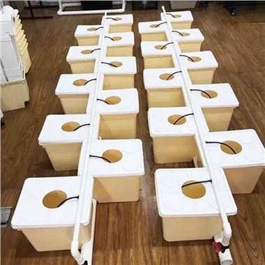 Dutch Bucket Grow Hydroponics
