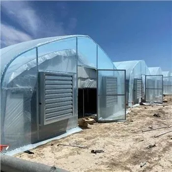 Film Greenhouse For USA Market For Planting Herms