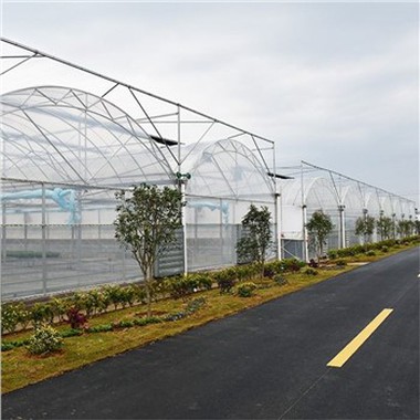 Greenhouse Cover Film