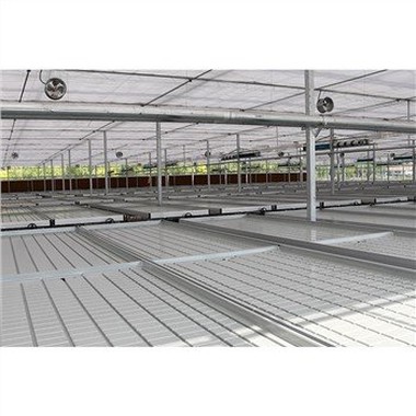 Greenhouse Seeding Bed