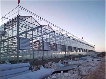Greenhouse Steel Structure Frame Skeleton
