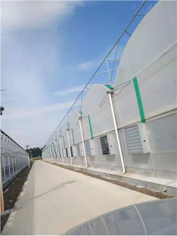 Greenhouse With Cooling System