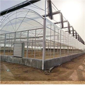 Multi Span Film Greenhouse With NFT System For Leafy Greens