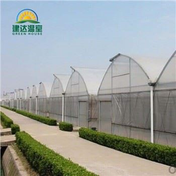 Multi-span Greenhouse
