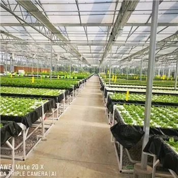 NFT Floating System For Lettuce