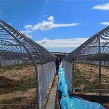 Singlespan Film Greenhouse