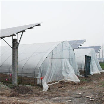 Tunnel Green House