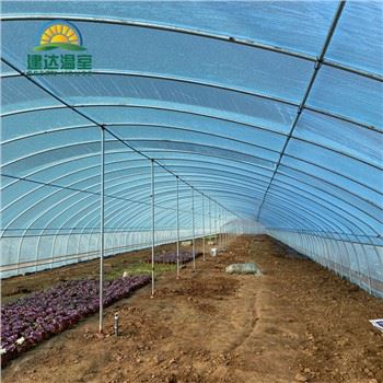 Tunnel Greenhouses
