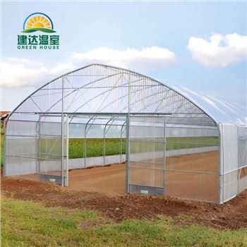 Vegetable Film Greenhouse