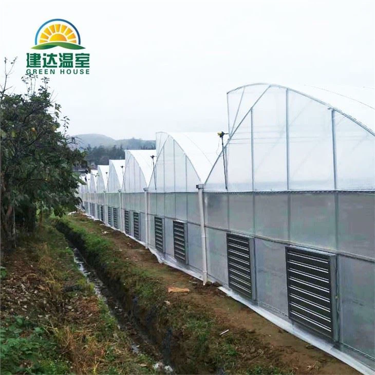 Tropical Greenhouse Sawtooth Roof