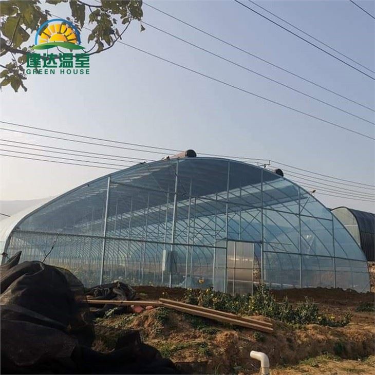 Vegetable Film Greenhouse