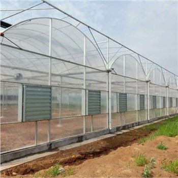 China Film Greenhouse With Agricultural Systems
