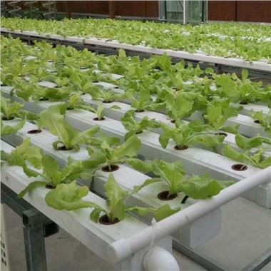 hydroponic system
