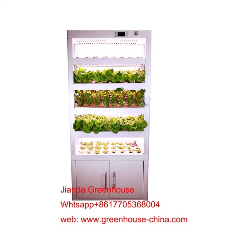 Home Hydroponic Cultivator