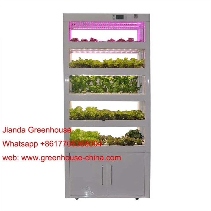 Home Hydroponic Cultivator