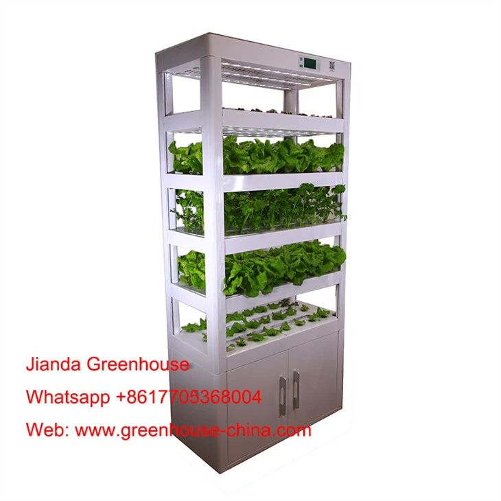 Home Hydroponic Cultivator