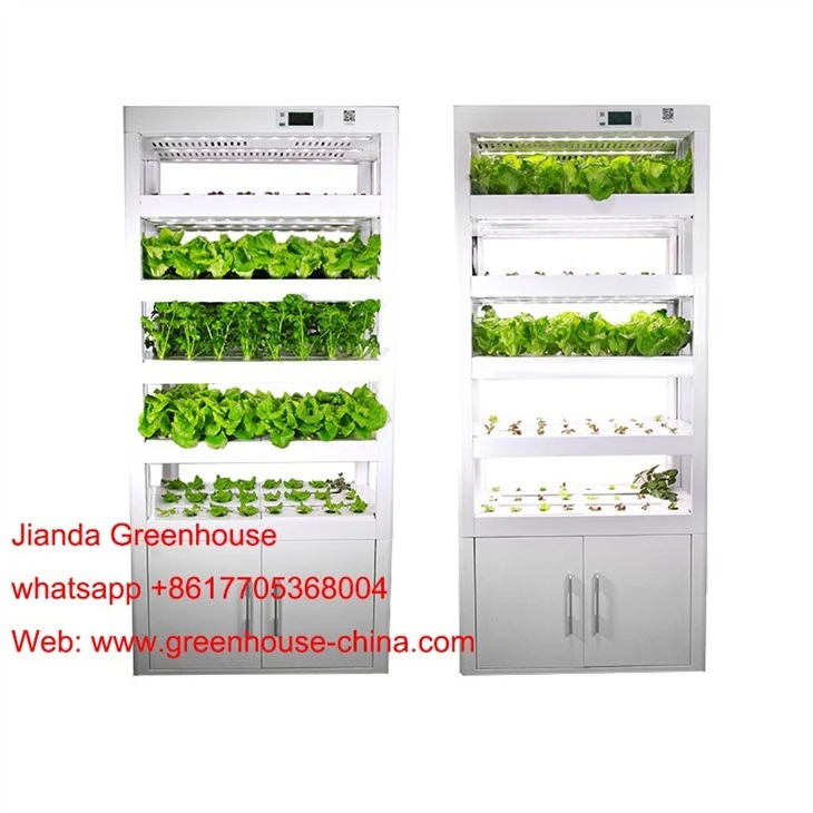 Home Hydroponic Cultivator