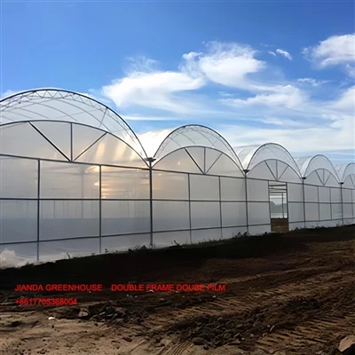 Double-arch Double-film Connected Greenhouse