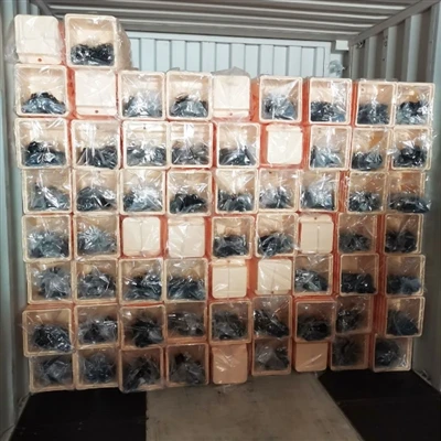Dutch Bucket Shipment