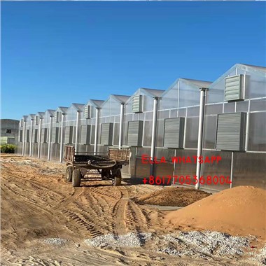PolyCarbonate PC Green Houses