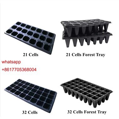 Seeding Tray