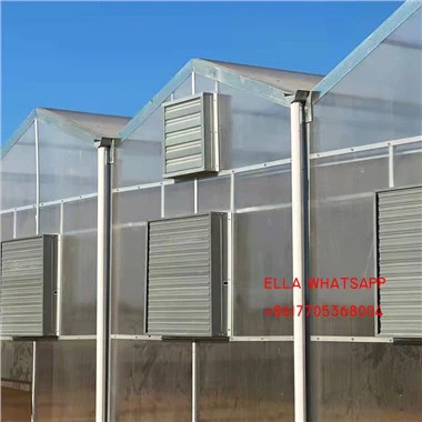 Venlo Green Houses