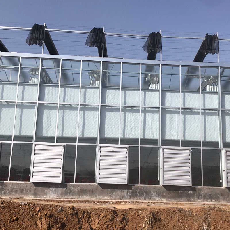 glass greenhouse 4 glass greenhouse 4