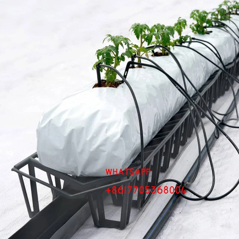 hydroponic hydroponic