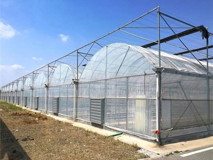 productcate-730-550 productcate-730-550